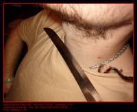 gymkhana_v_1538.jpg