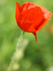 haccker_04_g23.JPG