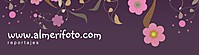 headerWEB.jpg