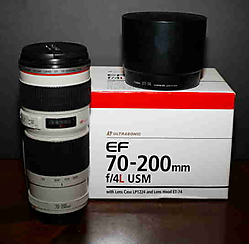 image50.jpeg