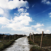 imagen00008.jpg