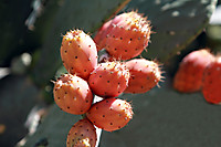 img0296.JPG