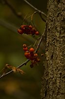 img_0074b.jpg