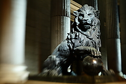 img_66251.jpg