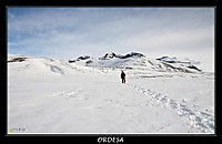 img_8705_Large_.jpg