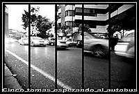 jchaves_13_g12.jpg