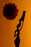 jesrodmar_11_g14.jpg