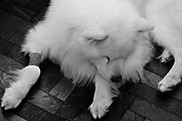 jjunne_10_g13.jpg