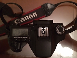 la_foto_219.JPG