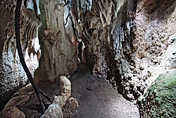 la_primera_de_la_primera_cueva.jpg