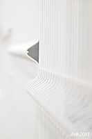 lineas23.jpg