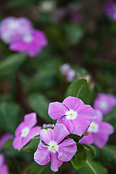 luminoso_05_g24.jpg