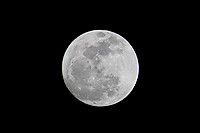 luna17022011.jpg