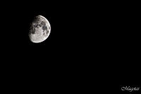 luna44.jpg