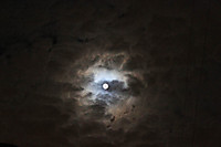 luna_foro.jpg