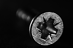 macro_32.JPG