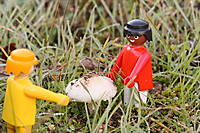 mago03_10_g10.JPG
