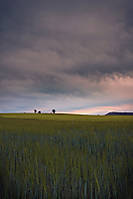 mar_de_castilla_800.jpg
