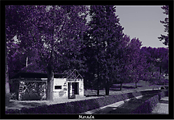 mayteba_10_g24.jpg
