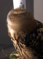 molinillo_800x600_.jpg