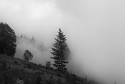 Niebla Montseny montseny-niebla1.jpg