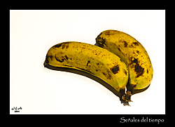 muwatalli_09_g19.jpg