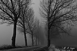 niebla02-2.JPG