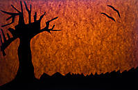 nuss_10_g10.jpg