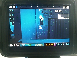 pantalla_11.jpg