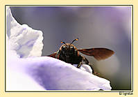 parc_cervantes_26_04_2008_073.jpg