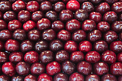 pattern7.jpg
