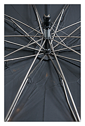 percebin78_09_g22.jpg