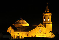 pinitharsis_09_g16.jpg