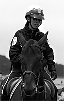 policaballo.jpg