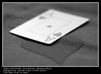 populo_10_g6.jpg