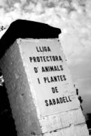 protectora3.jpg