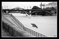 puente_triana.jpg