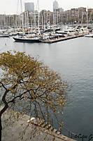 puerto_al_mar.jpg