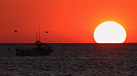 puesta-1074.jpg