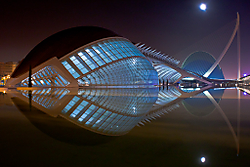 ralob0_15_g21.jpg