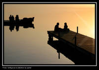 reflejos_en_la_albufera.jpg