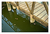reflejos_verano.jpg