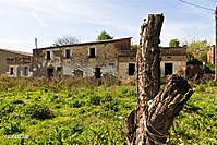 resized_El_Papiol-236.jpg