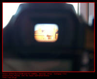 ricky_09_g6.jpg