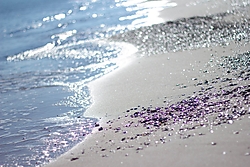 beach saler.jpg