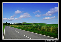 scotland_road_2.jpg