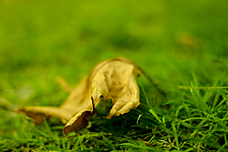 sin_t_tulo-1-57.jpg