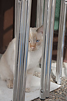 sugarra-10-16.jpg