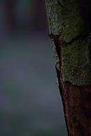 textura6.jpg