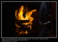 tonidel_04_g7.jpg